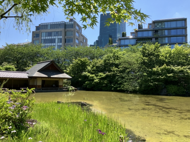 港区赤坂の好立地で還暦スタジオ。最寄りの檜町公園